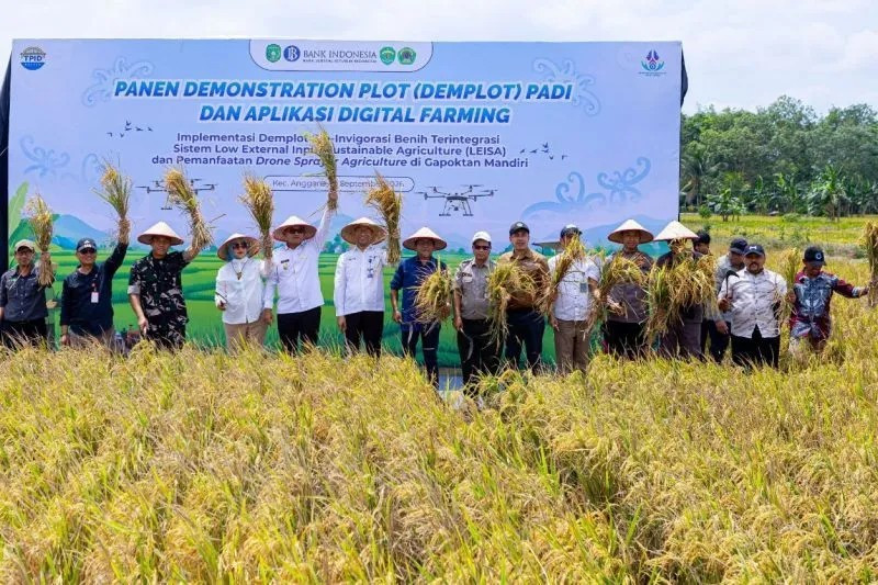 Penulisan Pertanian Digital Tingkatkan Hasil Panen Padi di Anggana