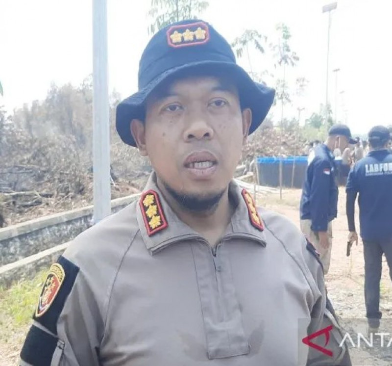 Polda Kalsel dalami kasus lahan terbakar di 10 korporasi