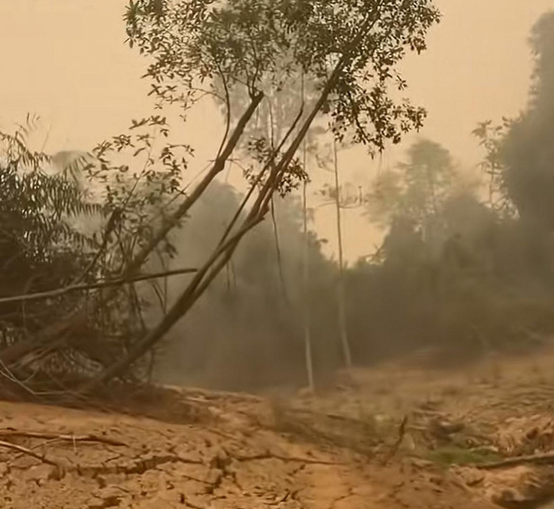 Karhutla Tak Kunjung Usai , Langit Kalimantan Menguning - Warga Sesak Napas, Penerbangan Lumpuh