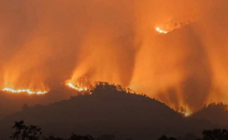 Karhutla Gunung Arjuno Seluas 260 Hektare Belum Padam, BNPB Segera Kirim Helikopter Water Bombing