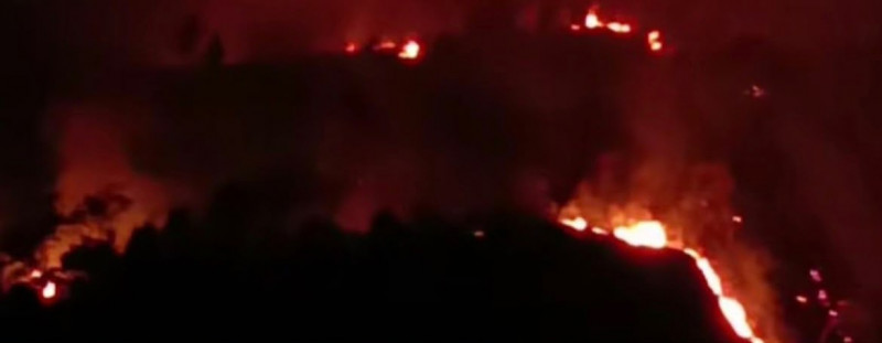 Karhutla Gunung Arjuno Sentuh 140 Titik Panas, Api Meluas Ke Perbatasan Malang