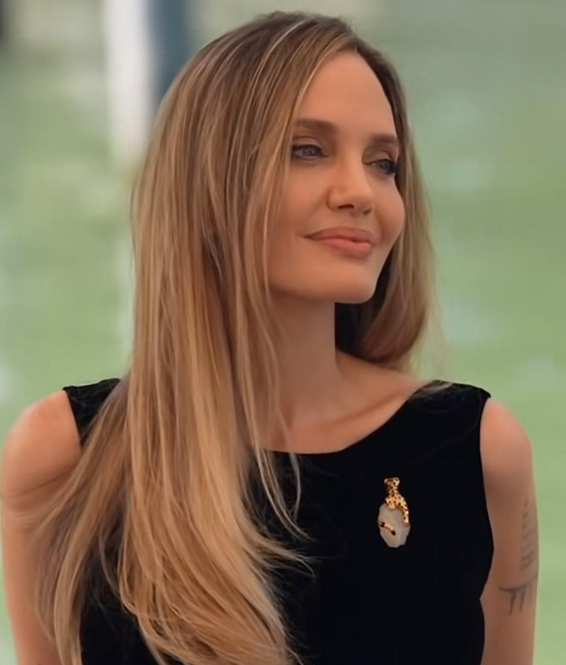 ANGELINA JOLIE SERUKAN BANTUAN UNTUK PALESTINA LEWAT CITRA SATELIT GAZA
