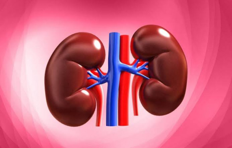 Ada beberapa Gejala Nefropati Diabetik, Komplikasi Diabetes yang Perlu Diwaspadai