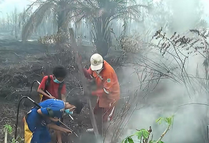 Aksi Heroik Anak- Anak Ikut Padamkan Api Karhutla Di Palang Karya