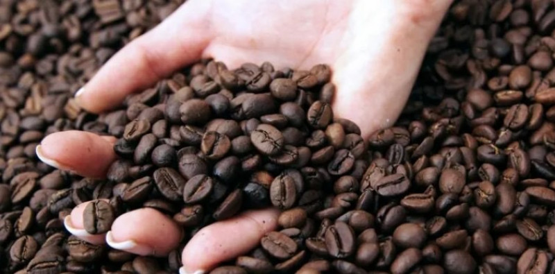 508.364 Ton Kopi Indonesia Kembali Jadi Raja Di Pasar Dunia