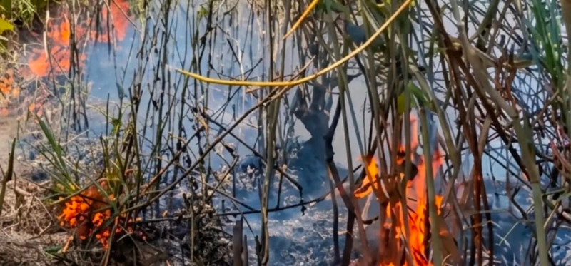 Kebakaran Meluas, Seluruh Jalur Pendakian Gunung Lawu Ditutup Sementara