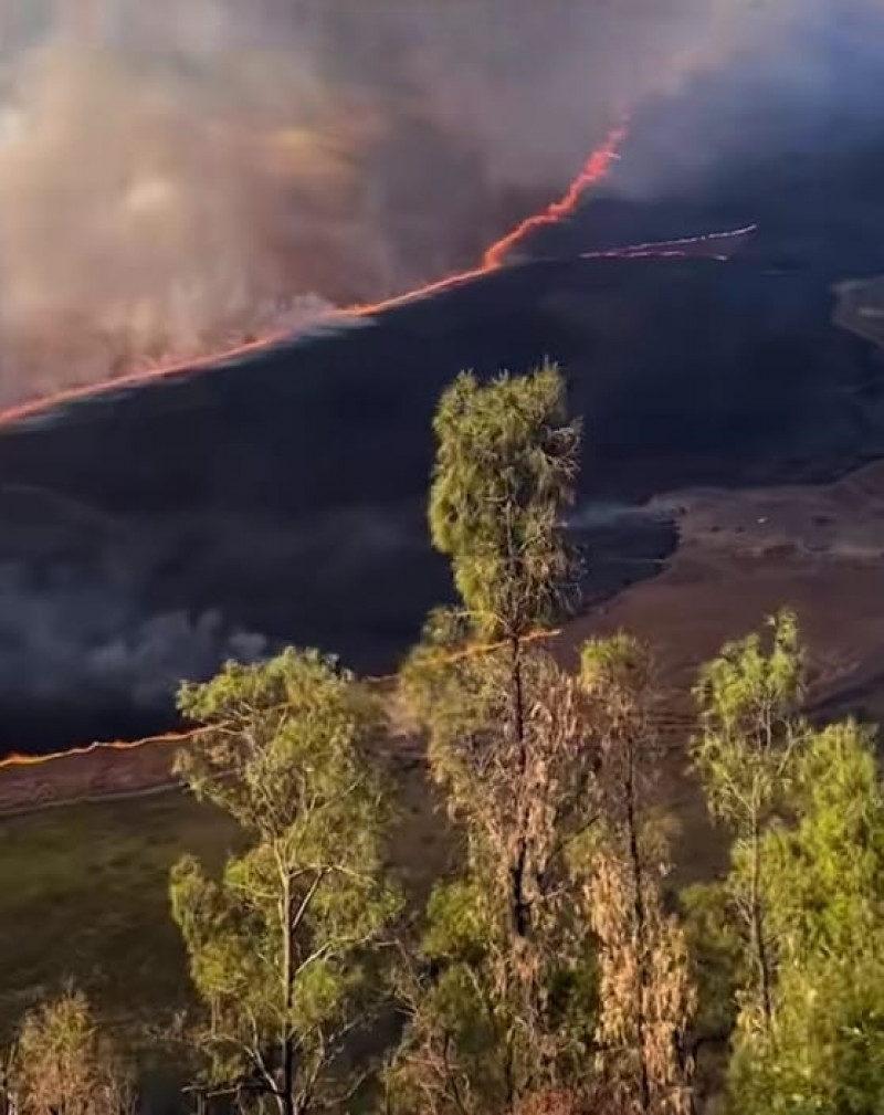 BUKIT TELETUBBIES BROMO TERBAKAR! Api Hanguskan Savana, Wisata Ditutup Sementara