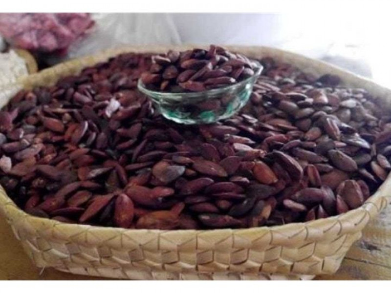 Kacang Kenari Berpotensi Bantu Tingkatkan Kualitas Tidur